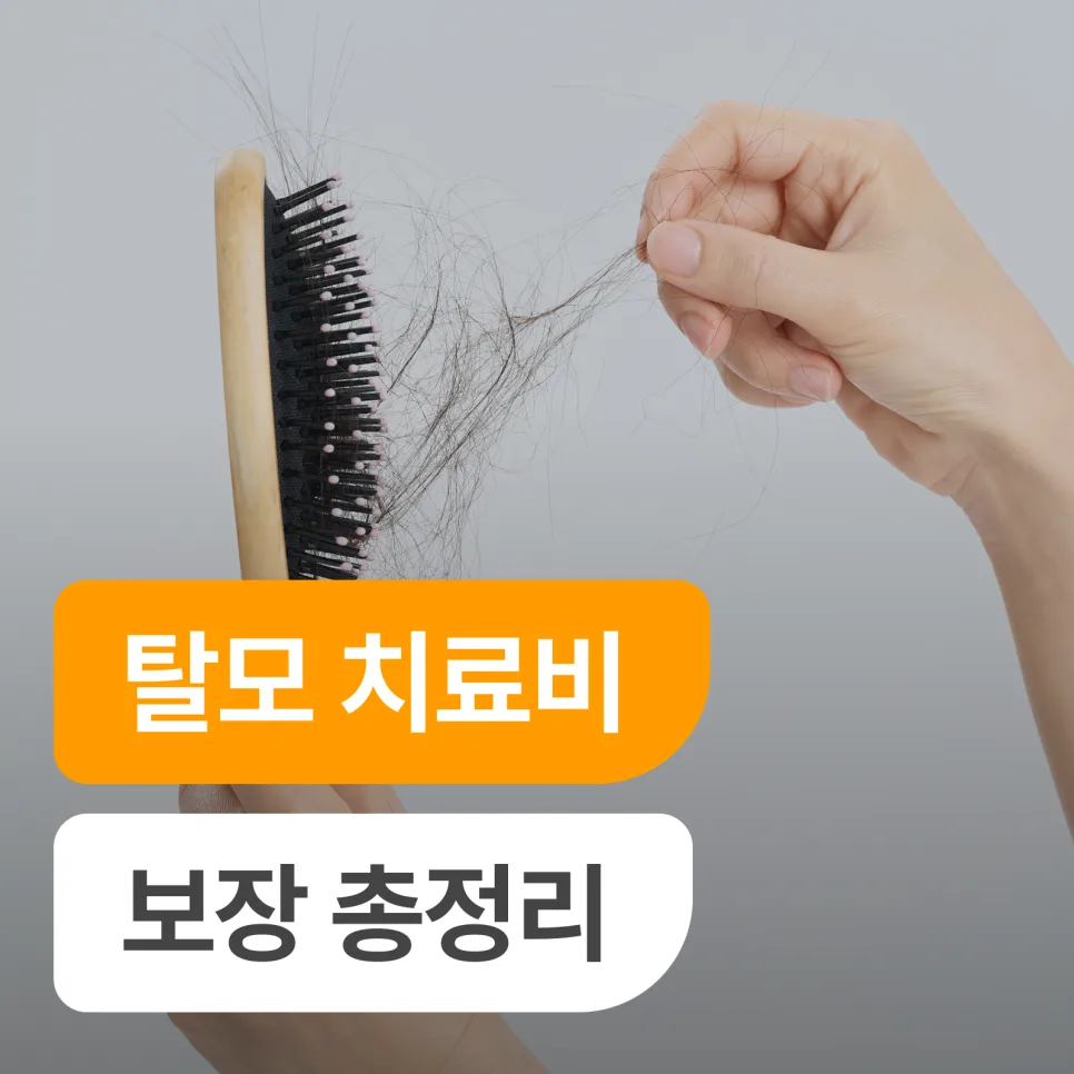 탈모 보험 보장 범위 2026: 질병·유전 탈모 치료비 총정리