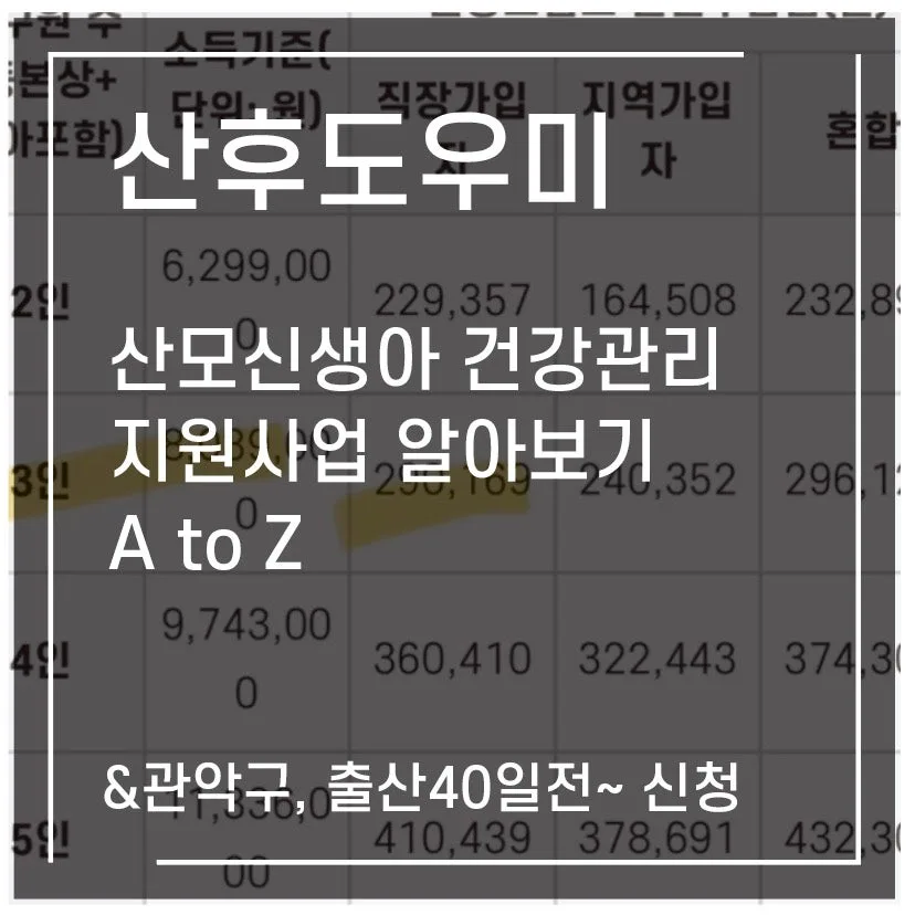 산후도우미 신청 A to Z: 서울시 지원금 2026년 총정리 — 육아·결혼 — 1991kate