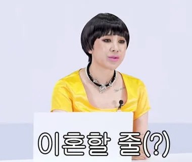 서인영 이혼 사유 2026년 재조명: 전남편 직업, 결혼식 불화 진실은? — 스타·아이돌 — nero856856