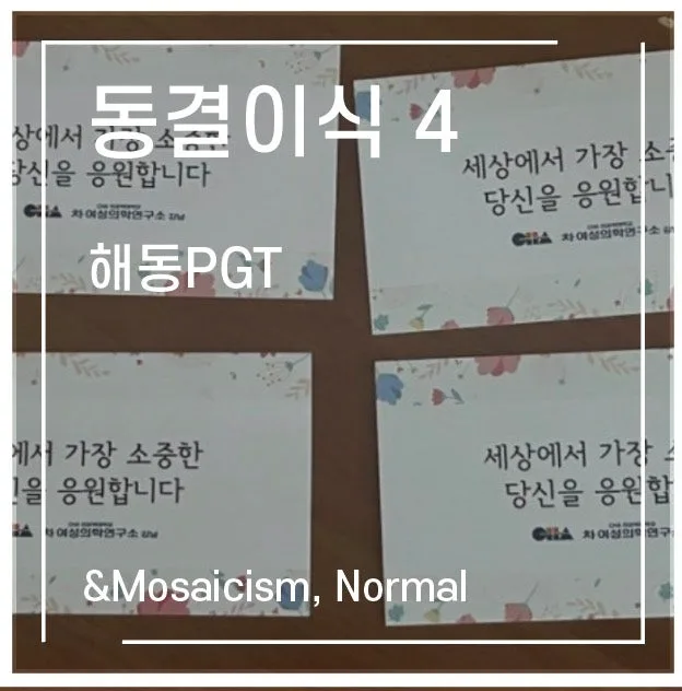5차 동결배아 이식 후기: 해동 PGT 성공 경험 2026 — 비즈니스·경제 — 1991kate 1