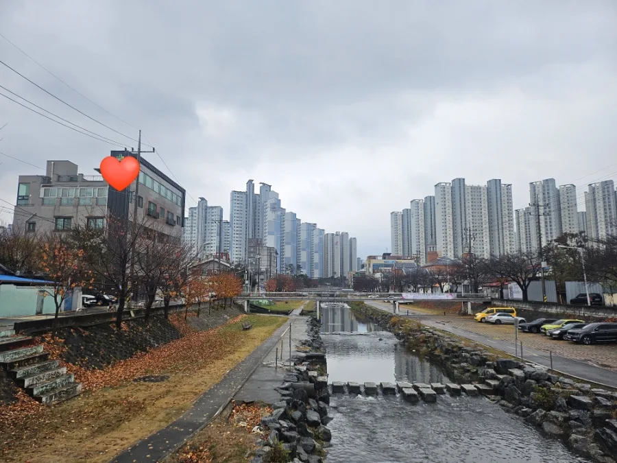 대만 151일차 컴백 기록 2026: 한국 방문 후기 및 팁 3
