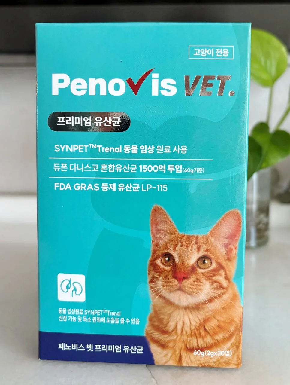 2026년 고양이 신장 영양제, 페노비스 벳 유산균 효과 총정리 3