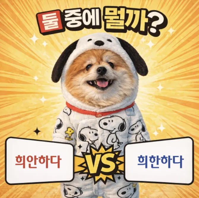 희한하다 vs 희안하다: 2026년 맞춤법 오류 완벽 정리 — 어학·외국어 — designalbranding