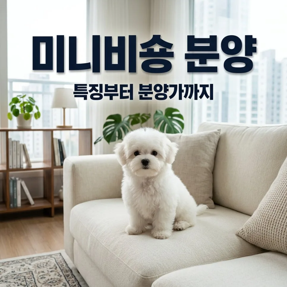 2026년 미니비숑 분양 전 필수 체크리스트: 특징, 분양가, 관리법 총정리
