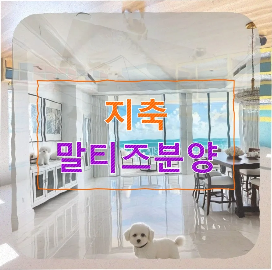 지축 말티즈 분양 후회 없는 선택 가이드 2026
