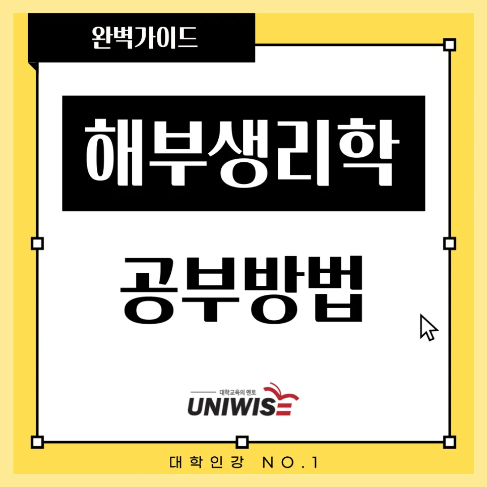 의대생 필수! 해부생리학 공부법과 최적 인강 추천 2026 3