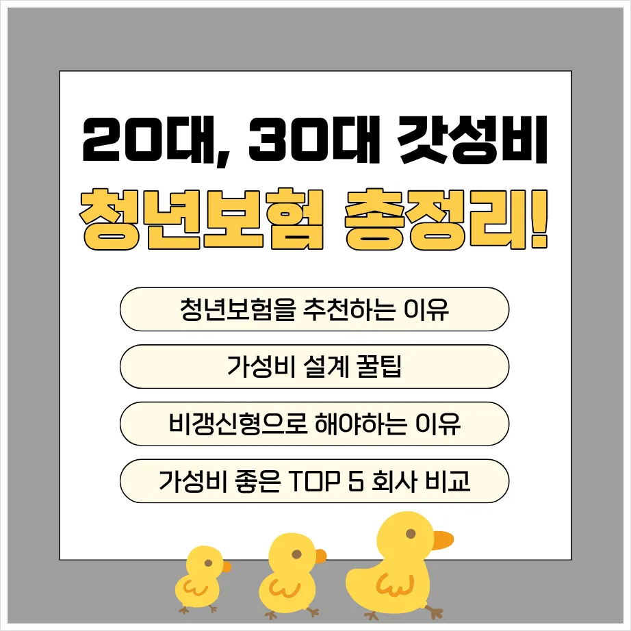 2030 청년보험 추천: 가성비 설계 꿀팁 & 회사 비교 2026