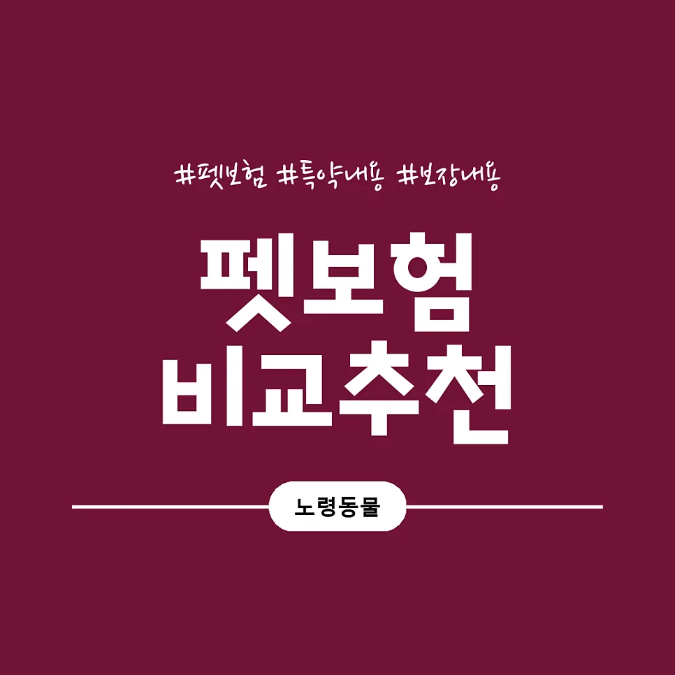 2026년 펫보험 비교: 강아지 vs 고양이 보험 차이점 완벽 정리 2