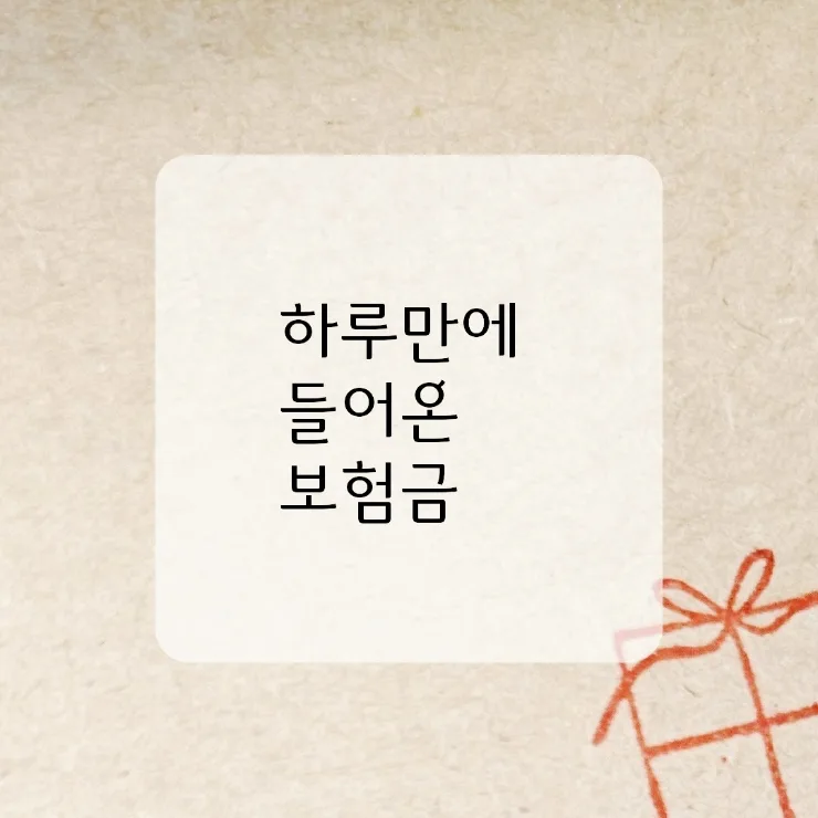 보험금 청구, 2026년까지 잊지 말고 챙겨야 할 5가지 방법 2