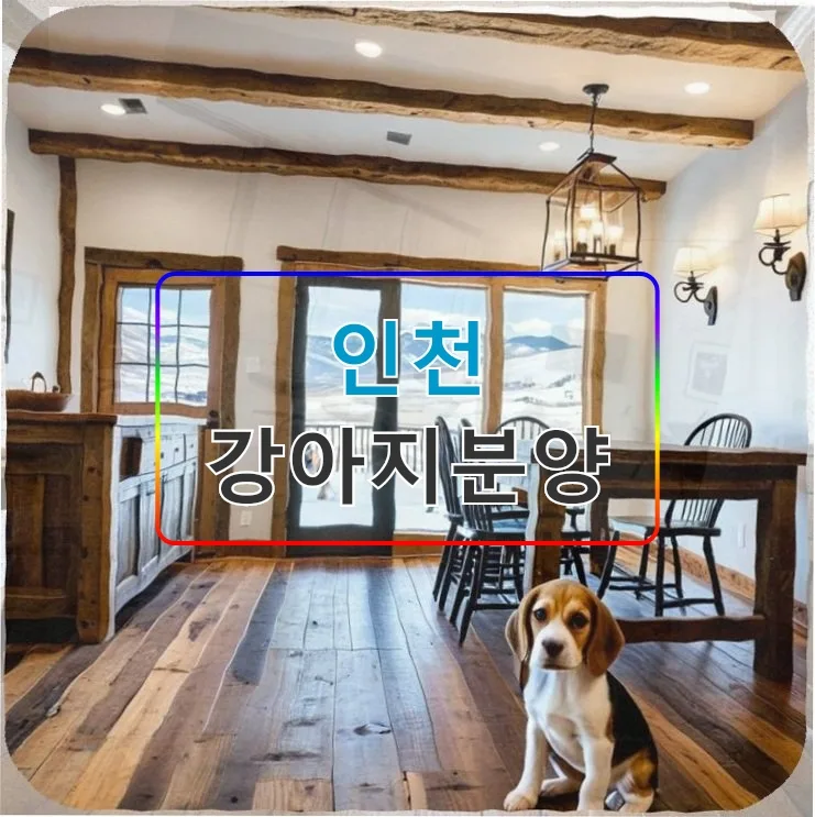 스무 살 첫 여름방학, 인천 강아지분양 현실 점검 2026