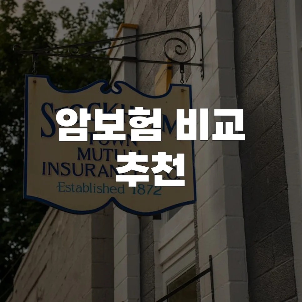2026년 암보험, 나에게 맞는 상품 찾는 5가지 비교 기준 — 비즈니스·경제 — roelcode