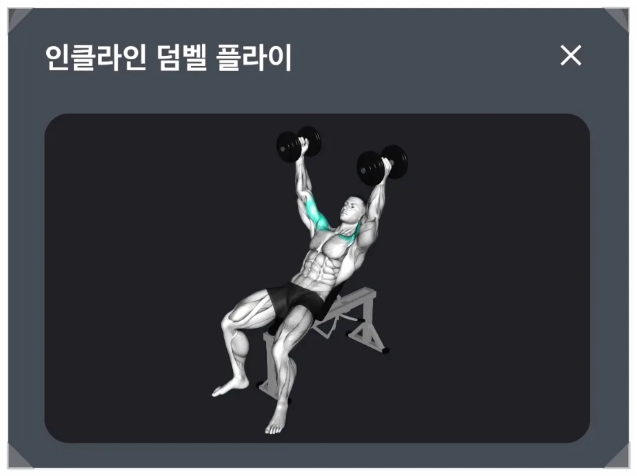 바디프로필 준비 2026: D-113 운동 루틴과 식단 관리법 3