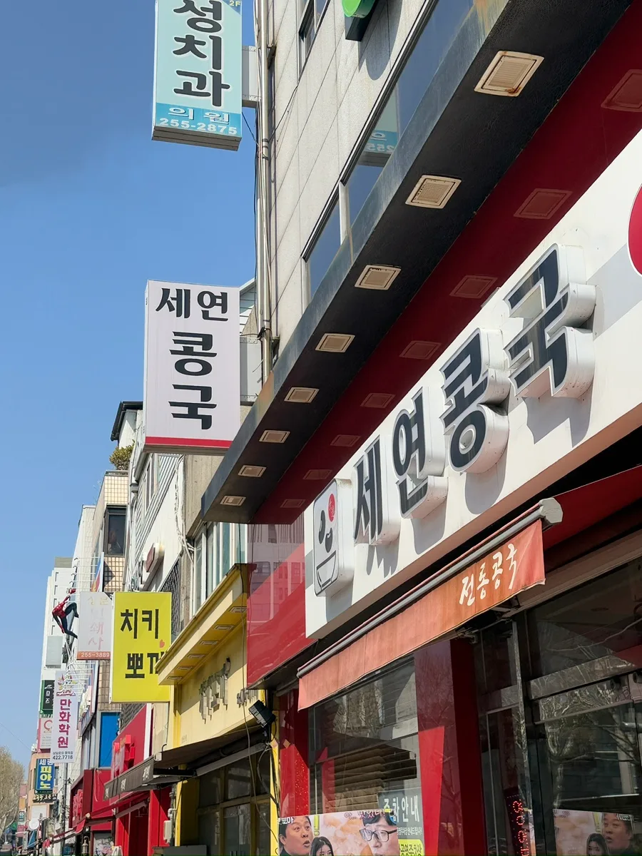 대구 여행 코스 2026: 이월드 벚꽃, 맛집 추천 총정리 — 한국여행 — syjho_official