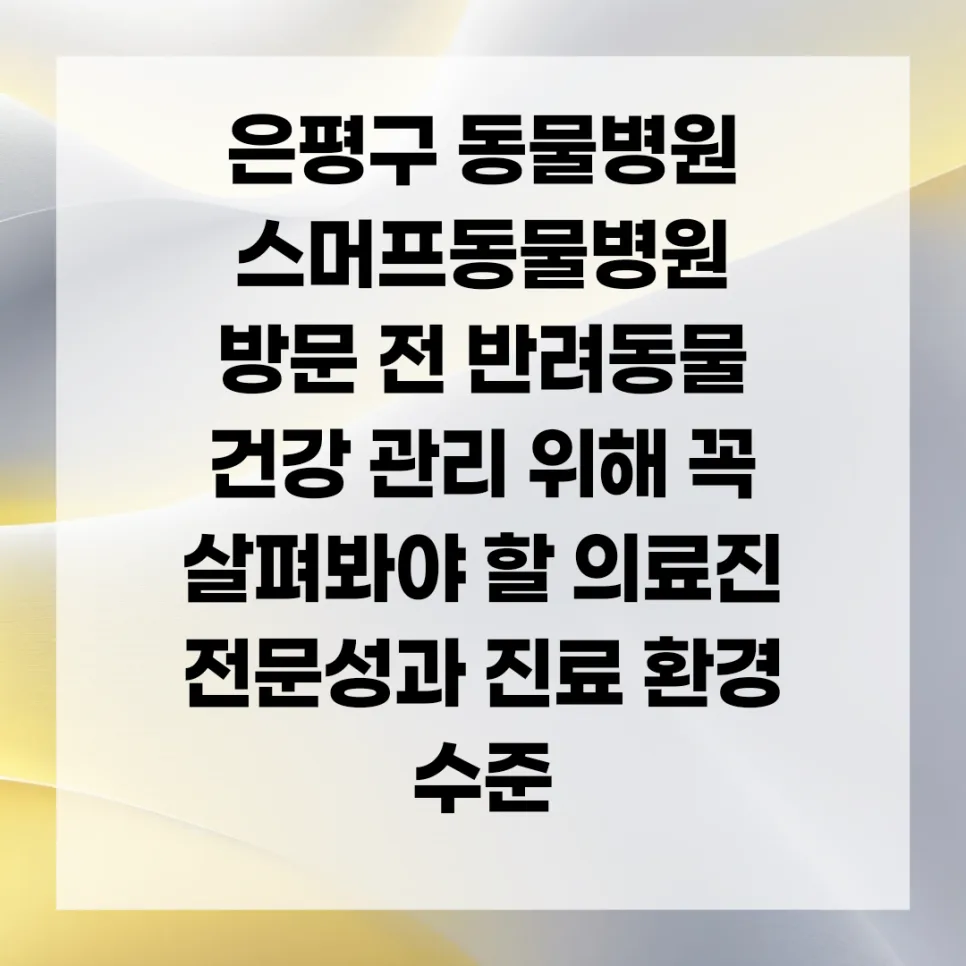 은평구 동물병원 선택 가이드 2026: 우리 아이에게 맞는 병원 찾기 3