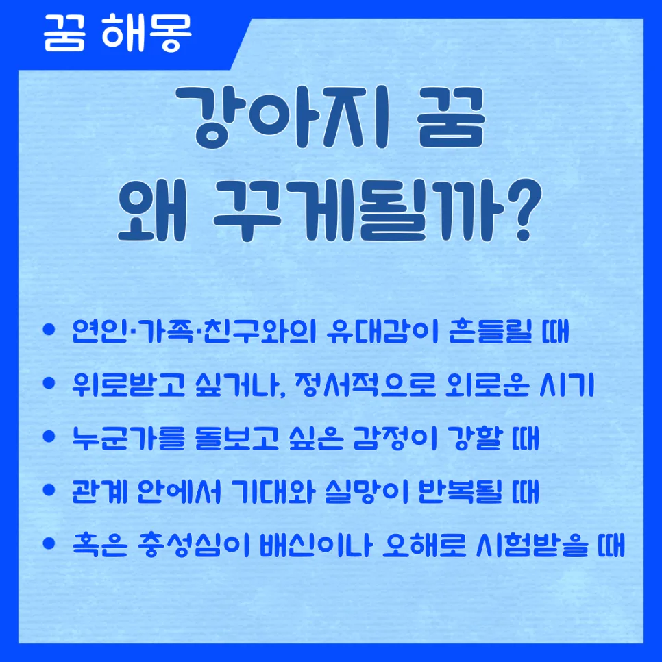 2026년 강아지 꿈 해몽: 상황별 감정과 인간관계 변화 예측 2