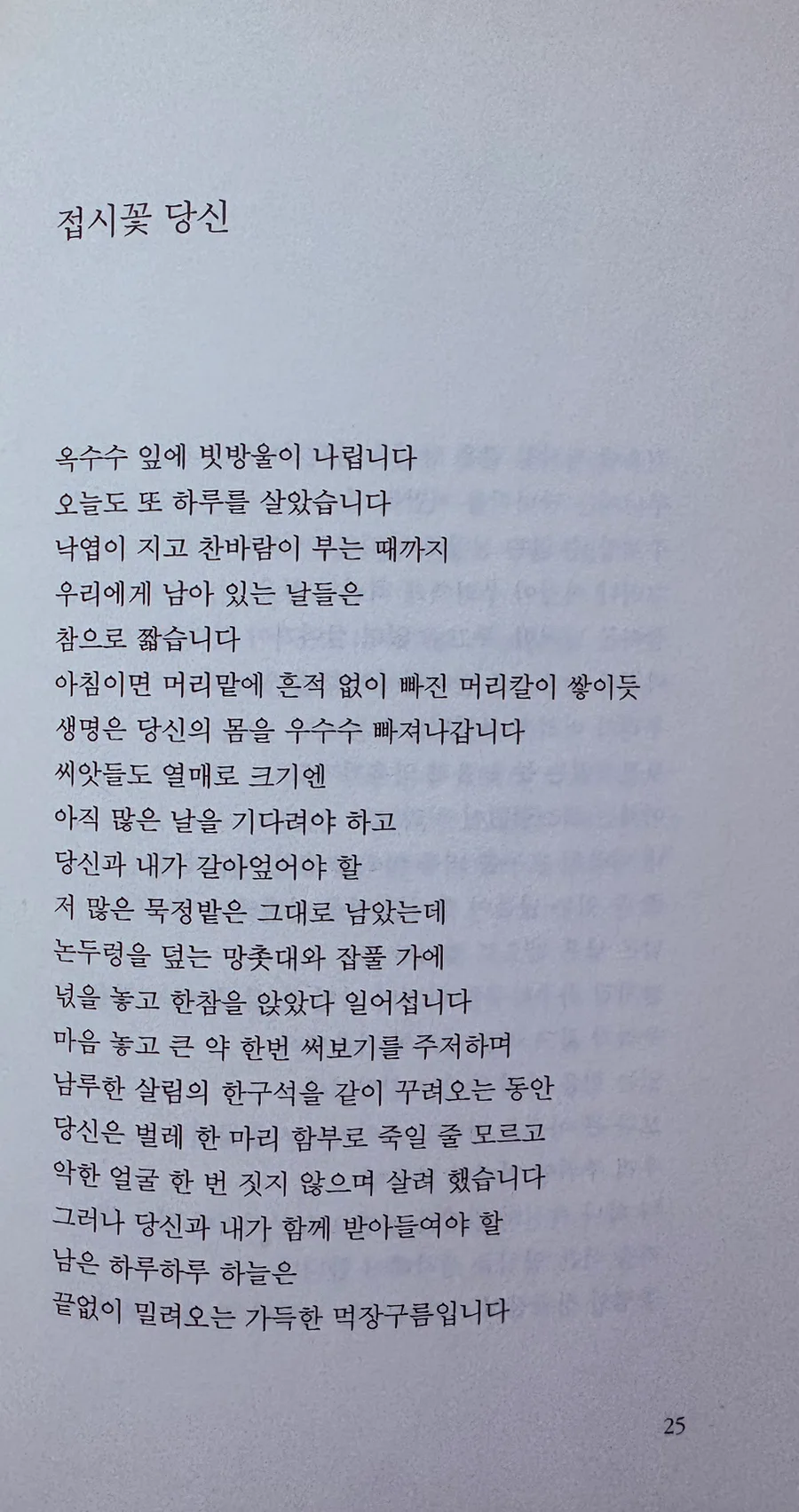 도종환 접시꽃 당신 시 분석: 영원한 사랑의 의미 2026 2