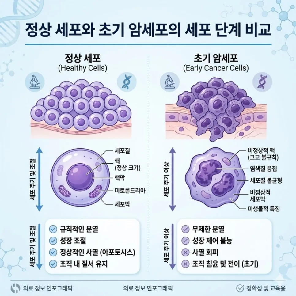 소액암 보험금 70% 손해 보는 이유? 2026년 기준 총정리 3