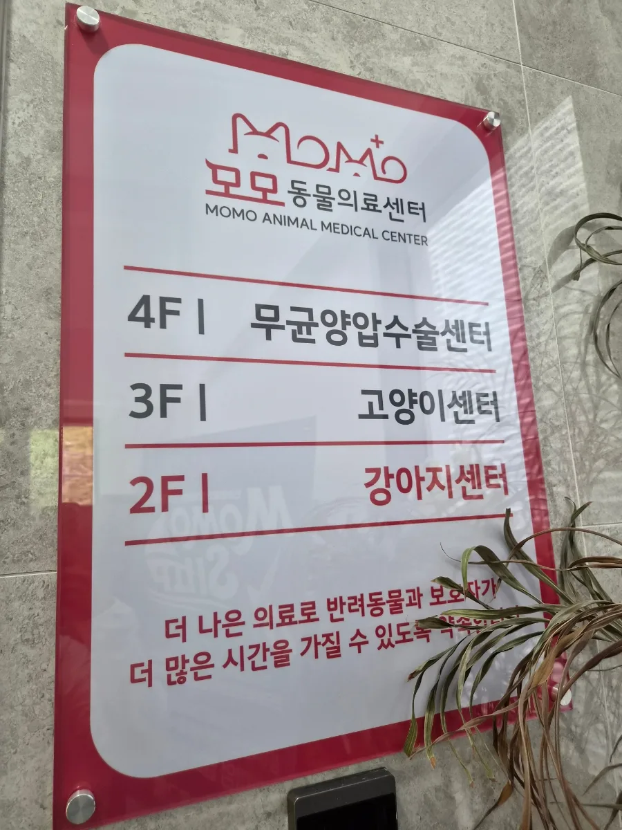 2026년 광견병 주사, 부작용 걱정 없이 안전하게 접종하는 법 2