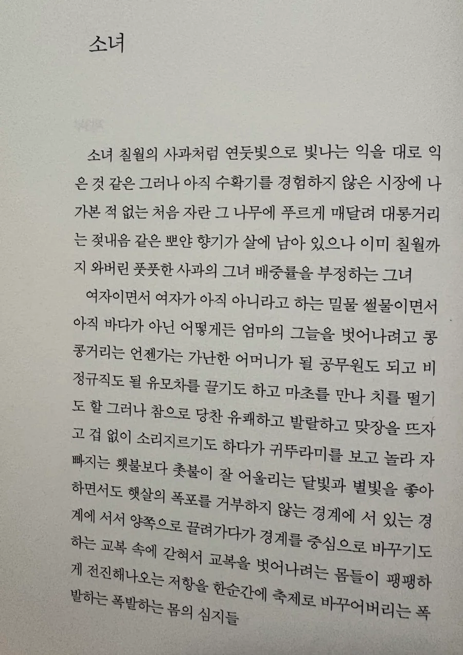 도종환 시 '소녀' 분석: 경계에 선 10대 심리 2026 3