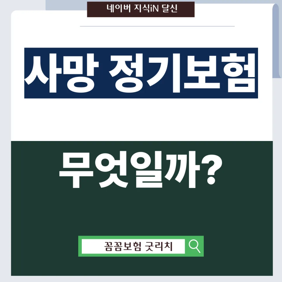 사망 정기보험 2026년, 304050 가장 위한 최적 보장 설계 2