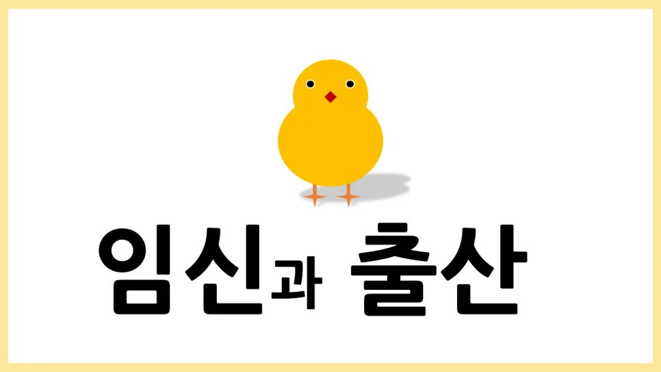 2025년 임신과 출산 성교육: 실제 경험 기반 핵심 정리 — 교육·학문 — diane1990