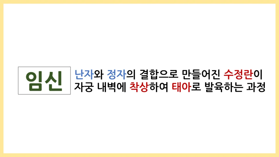 2025년 임신과 출산 성교육: 실제 경험 기반 핵심 정리 2