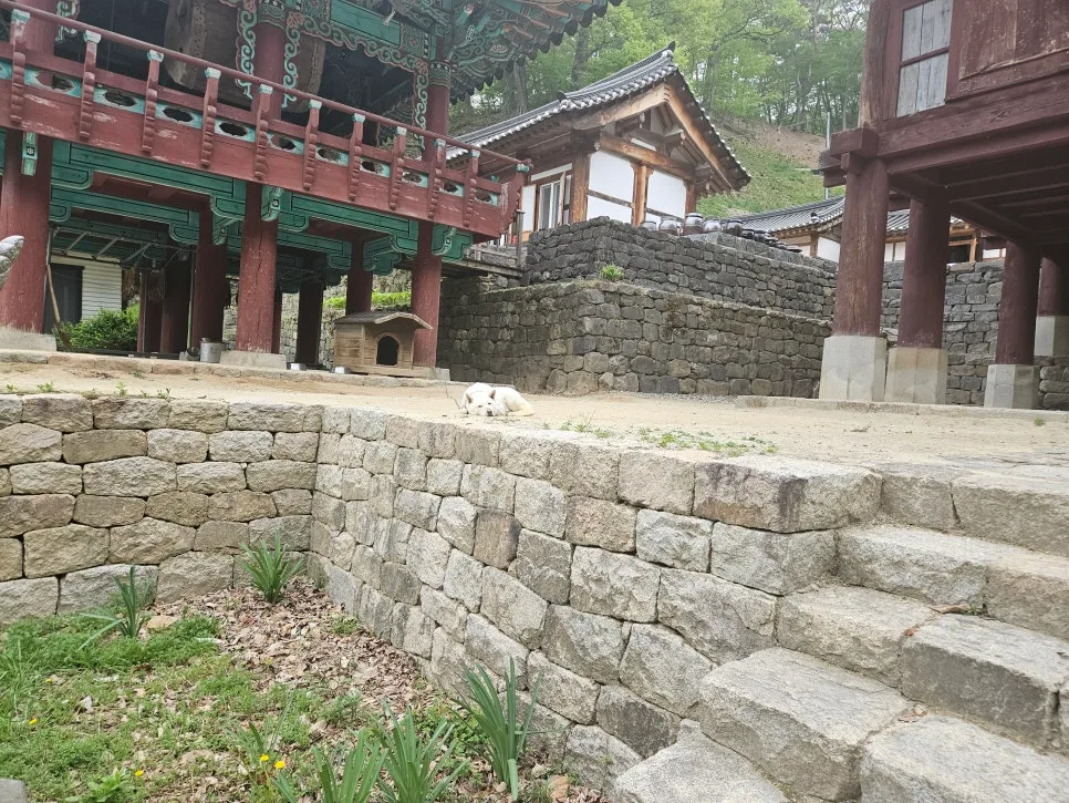 달러 종신보험 2026년, 고객 경험 기반 자산 분산 전략 2