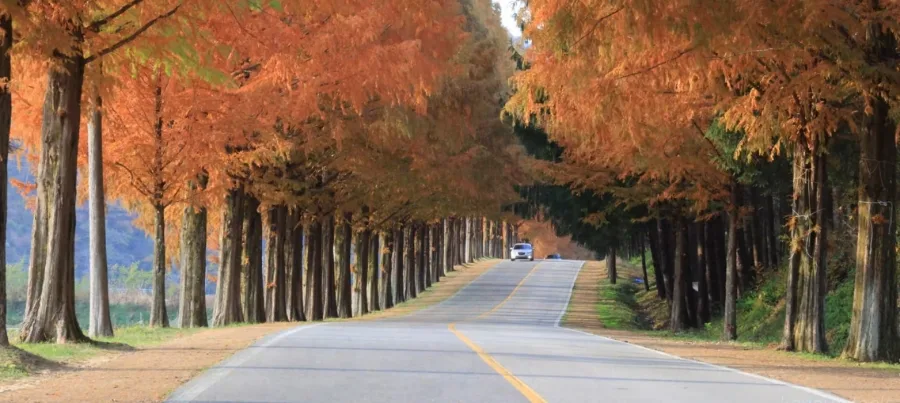 노자 도덕경 해석과 변증법: 오강남의 통찰 2026 — 문학·책 — rlarkdbf12