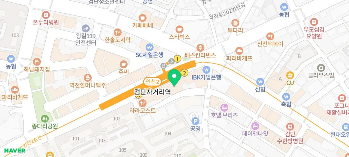 2026년 인천 치와와 분양: 건강한 반려견 찾는 법 총정리 — 반려동물 — incheondreamdog