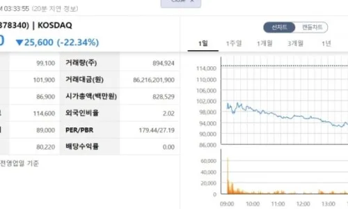 7월 공모주 투자 수익률 250% 달성 비결 2026 2