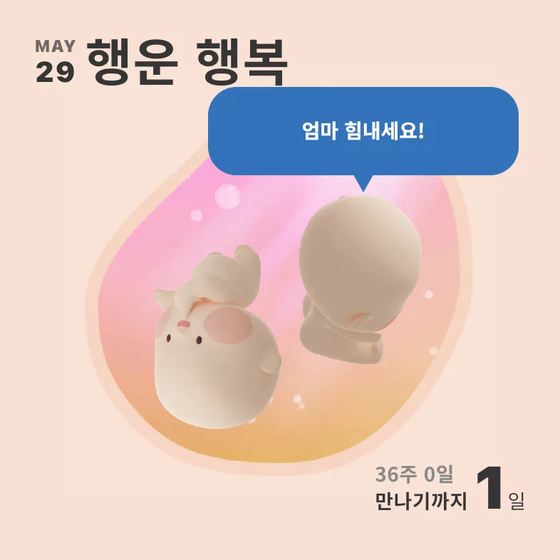 쌍둥이 출산 경험 2026: 5월 30일, 연이와 이헌이의 탄생 이야기 — 육아·결혼 — myeong_eun12