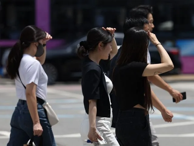 K푸드 열풍과 한국 경제 변화 2026: 뉴스 핵심 요약 2