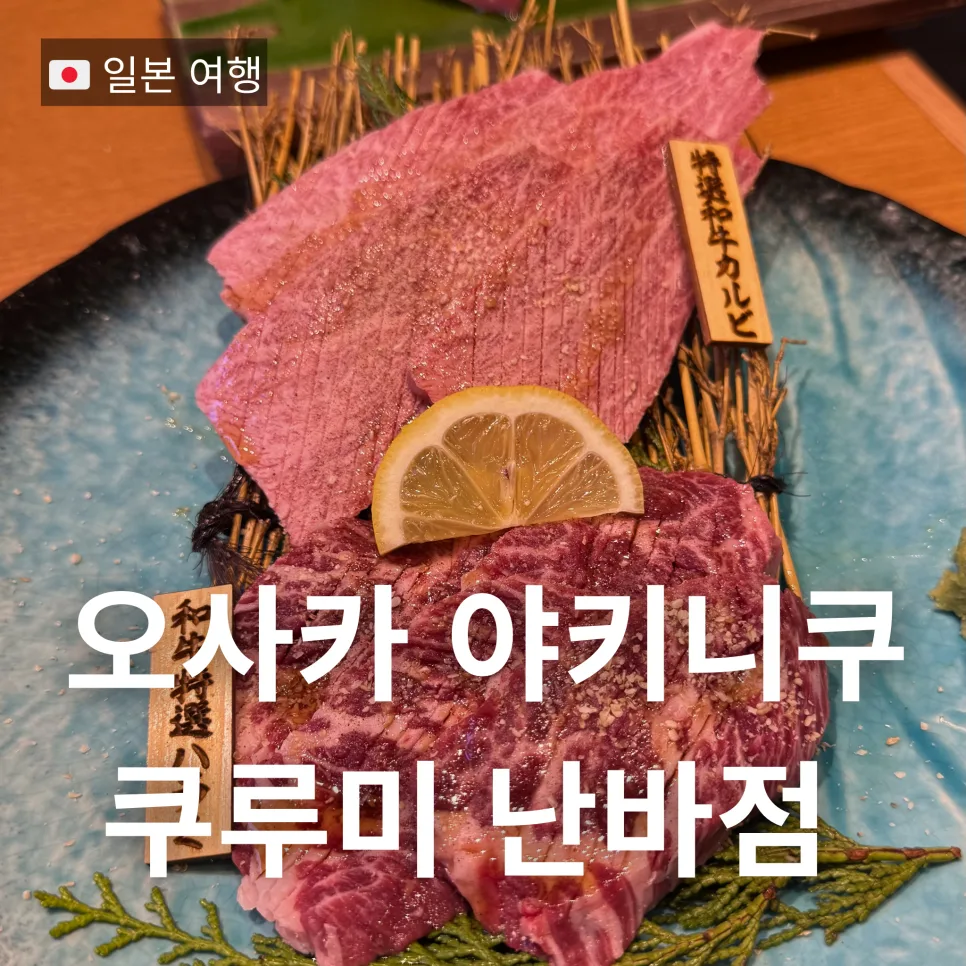 오사카 야키니쿠 맛집 쿠루미 난바점 2026년 와규 코스 후기 — K-푸드·맛집 — bon_etoile