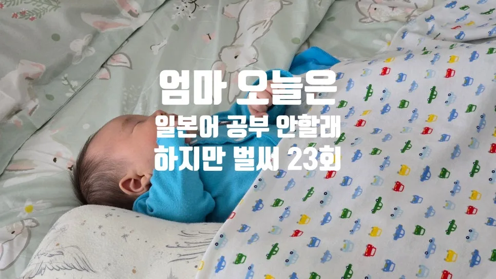 일본어 공부 습관 만들기 2026: 메구로 렌·하마베 미나미 조언 3