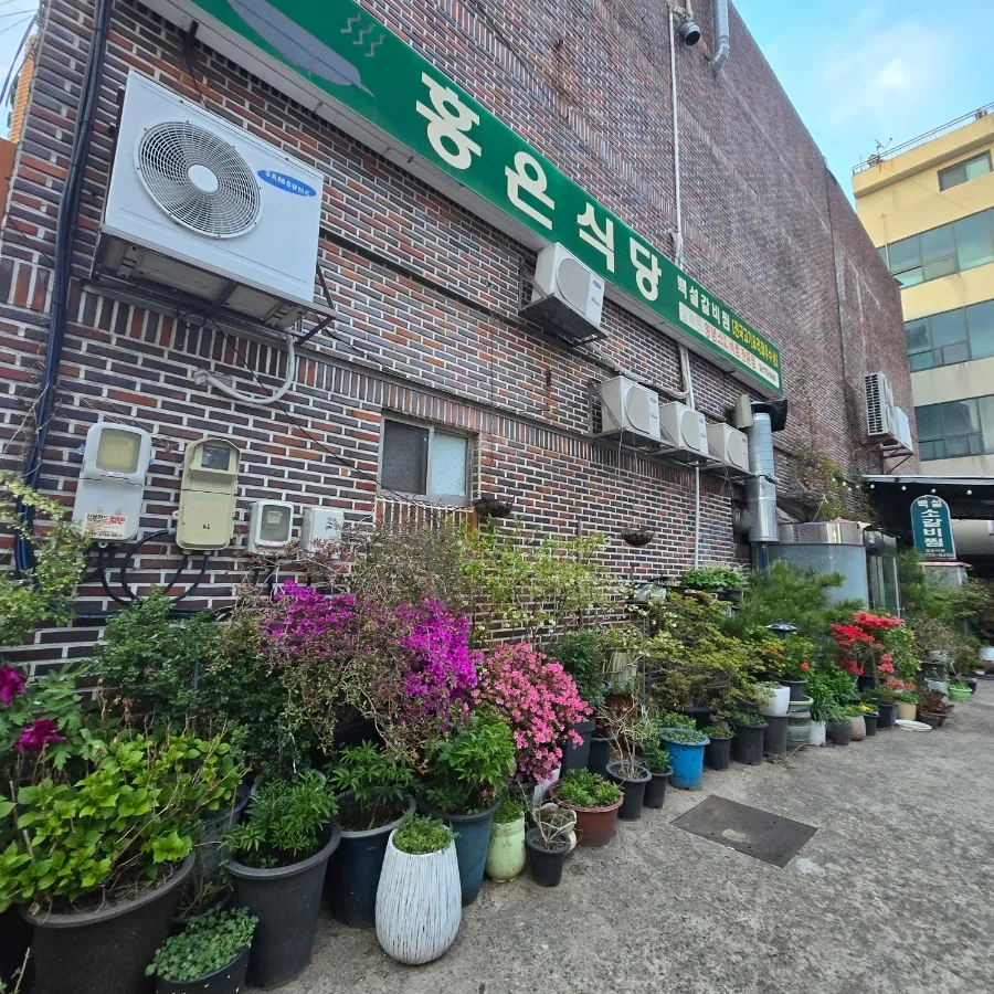 경주 홍은식당 백설 소갈비찜 2026: 이색 비주얼 맛집 탐방 — K-푸드·맛집 — dhrrl7