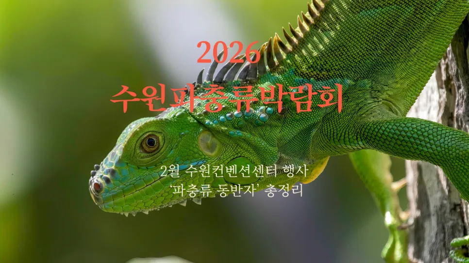 2026 수원 파충류 동반자: 행사 일정, 입장료, 볼거리 총정리 — 취미 — slowpet365