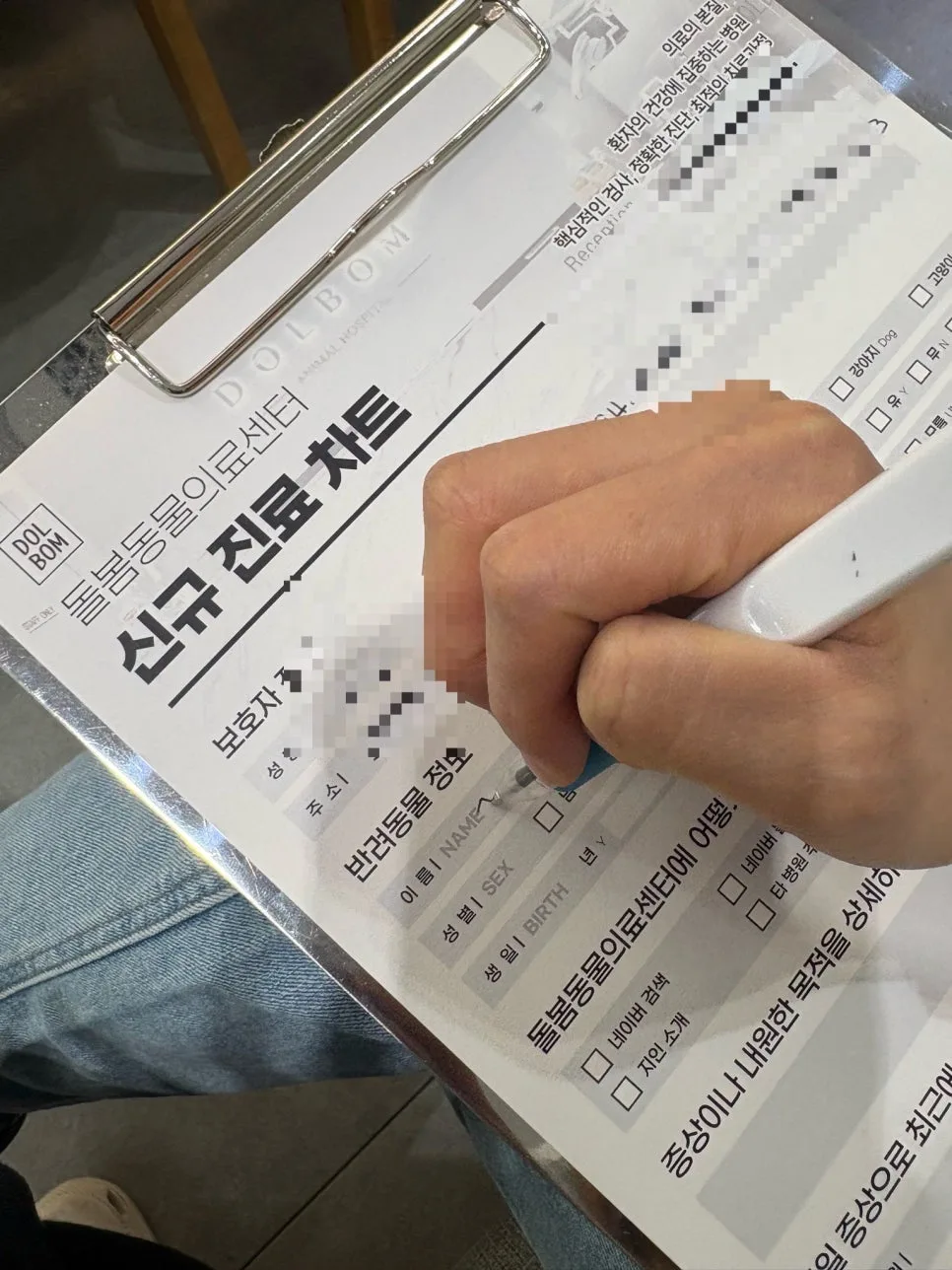 12살 노견 건강검진, 수원 돌봄동물병원 2026년 후기 2