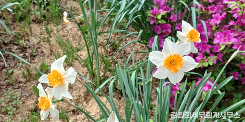 개인사업자 최저한세 2026: 계산법·적용 대상·제외 기준 총정리 2