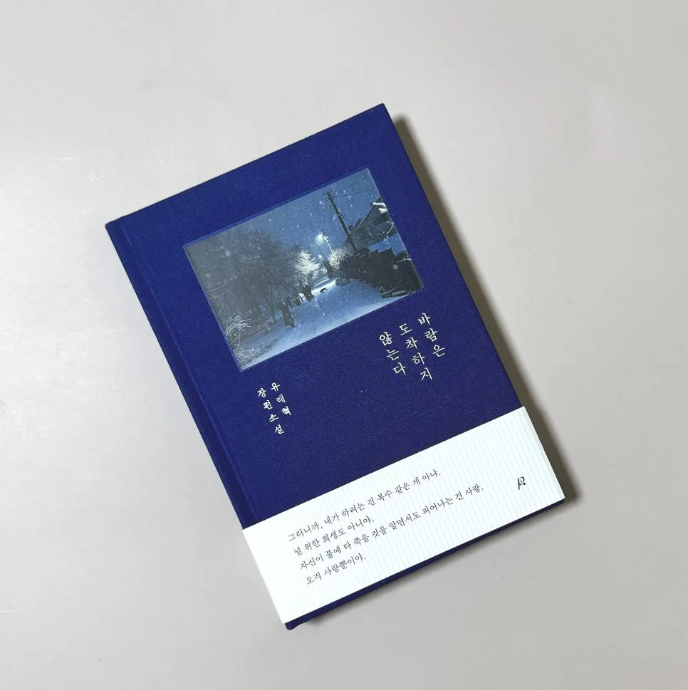 유래혁 장편소설 '바람은 도착하지 않는다' 감동 후기 2026 — 문학·책 — catharsis486 1