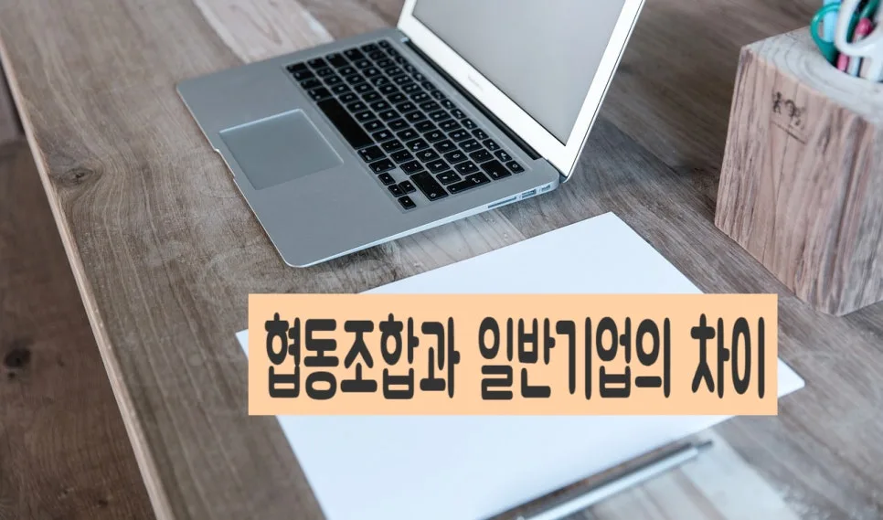 협동조합 vs 주식회사 2026년, 핵심 차이점 완벽 비교 3