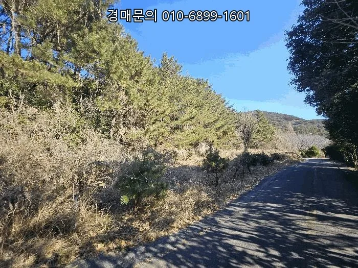 거제 둔덕면 대형 숙박시설 경매, 2026년 8억대 투자 기회 분석 3