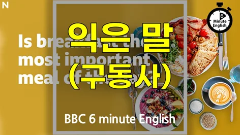 아침 식사의 중요성 2026: 영어 숙어와 함께 알아보는 건강 습관 — 건강·의학 — softca