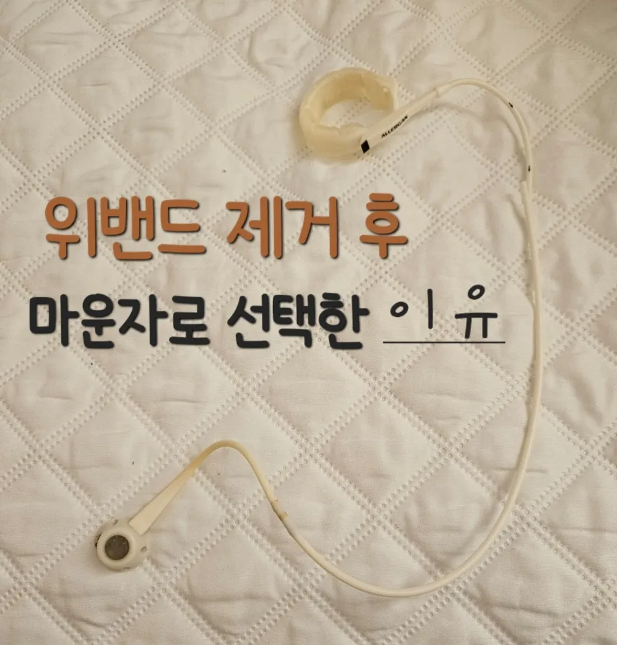 위밴드 vs 마운자로: 14년 경험자가 2026년에 선택하는 이유는?