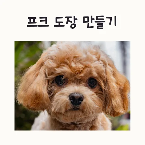 프로크리에이트 도장 만들기 2026 — 초보자를 위한 단계별 가이드 — IT·테크 — frostnara