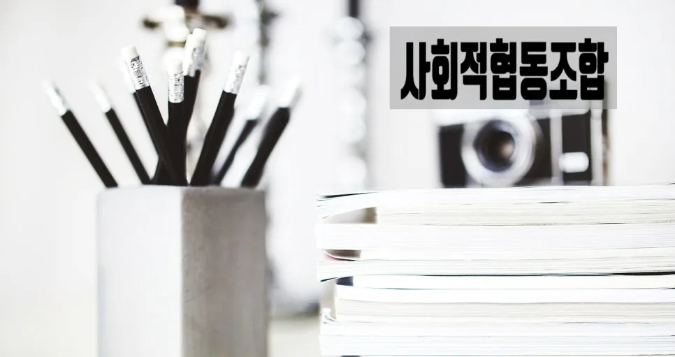 사회적협동조합 설립 조건 및 절차 2026년 총정리 2