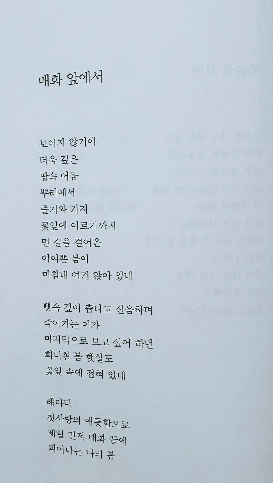이해인 시 '매화 앞에서' 2026년, 고난 속 희망 찾는 법 2