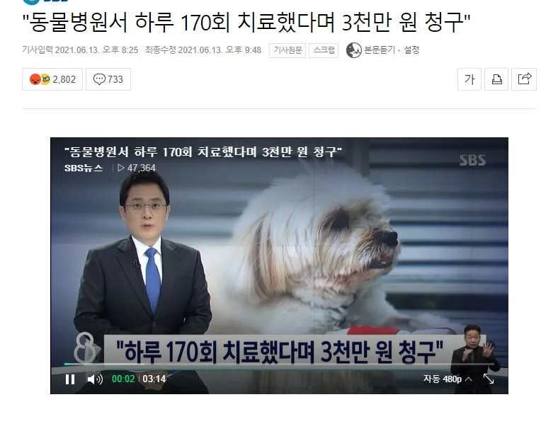 2026년 펫보험, 우리 아이 위한 최적 상품 찾는 법 5가지 2