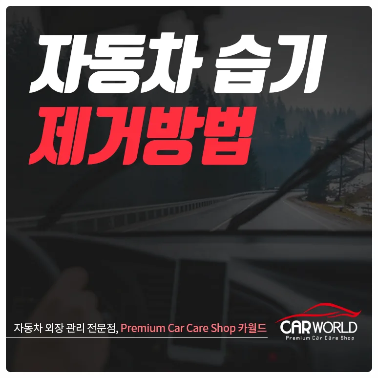 자동차 습기 제거 2026: 시야 확보와 안전운전 위한 5가지 방법 — 자동차 — cwsbj007