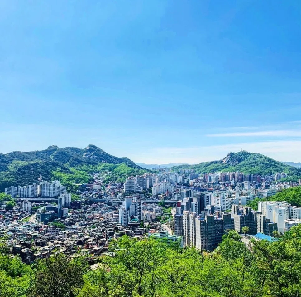 포방터 시장 맥주 축제 2025: 서울 로컬 바이브 체험 가이드 3