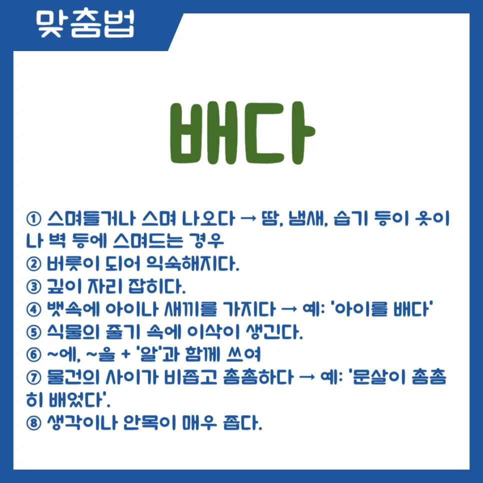알배기다, 알배다 2026: 헷갈리는 표현 완벽 정리 2